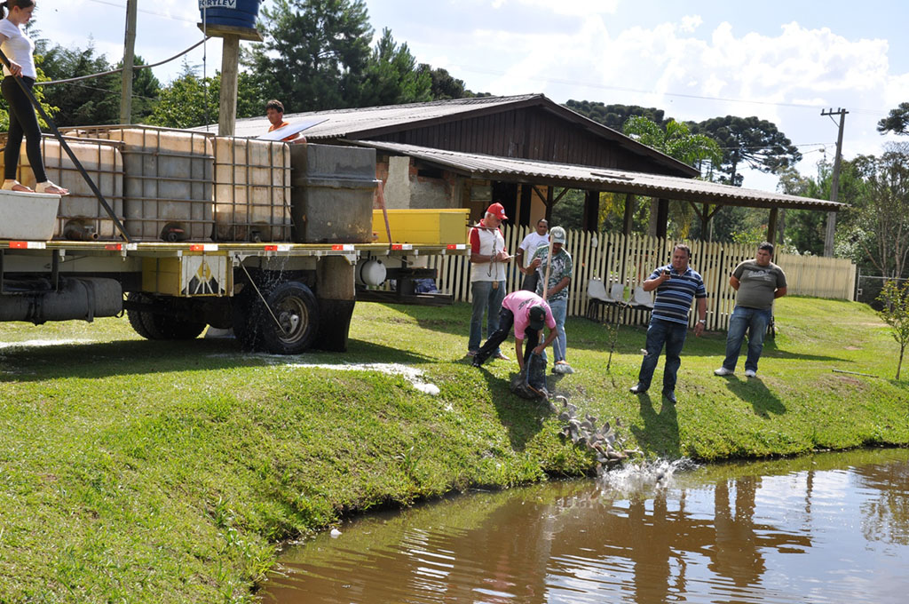Pesque-Pague do Sindimoc recebe 2000 kgs de Peixes
