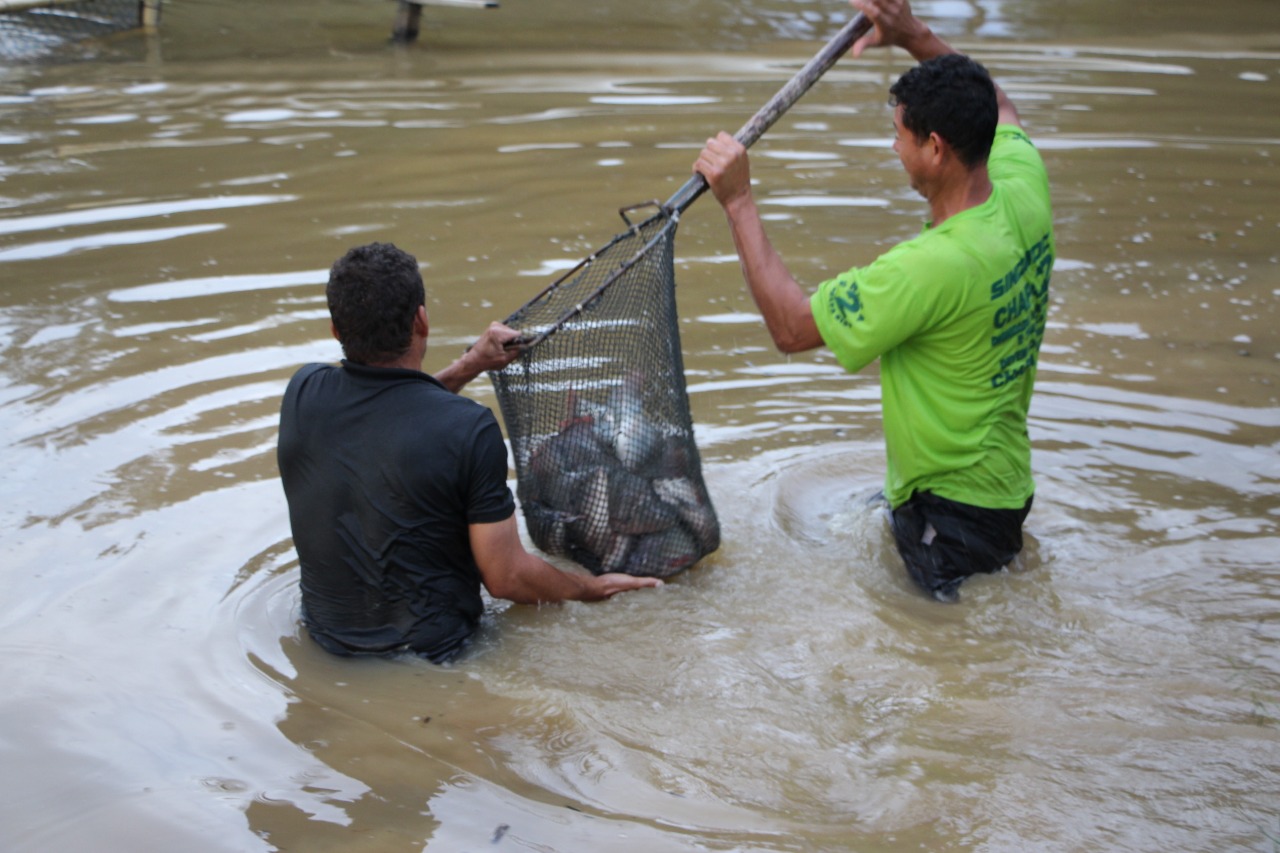 Sindimoc faz repovoamento de mais de 3 mil peixes na Sede Campestre